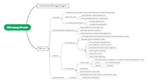 Đối tượng kế toán - Tài sản