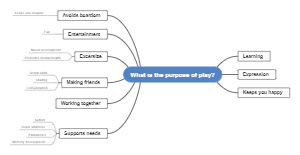 Purpose of Play