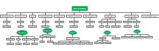 IPSIT Branding Team Structure