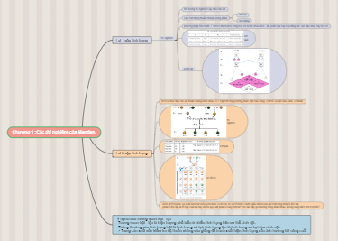 Chương 1: Các thí nghiệm của Menđen