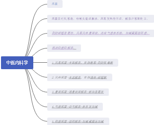 中医内科学之感冒辨证论治思维导图