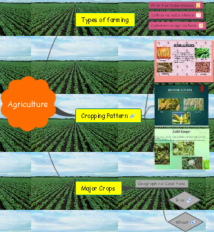 Crop Farming Infographic Poster