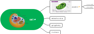 Biology Cell Mind Map