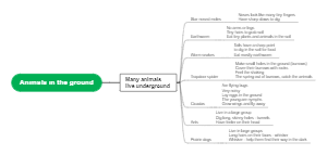 Animals in the Ground Ecosystem