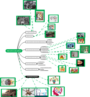 Animación sociocultural