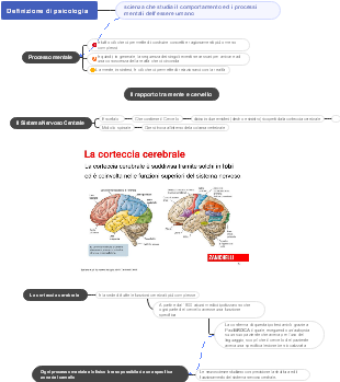 Mappa Mentale della Psicologia e della Corteccia Cerebrale