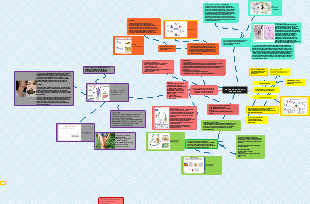 RELAÇÃO PARASITO HOSPEREIRO