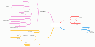 Mappa Mentale delle Biomolecole: Chimica della Vita