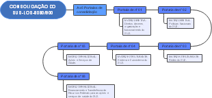 CONSOLIDAÇÃO DO SUS-LOS-8080/900