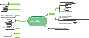 Complementary Care Strategies for Easing Anxiety in Ventilator-Supported Patients