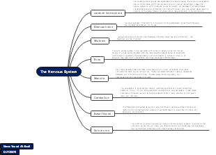 The Nervous System