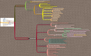 Quy Trình Nghiên Cứu Marketing