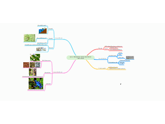The mind map diagram below illustrates that Adaptations are the result of evolution. As we usually studied in the early science lectures, evolution is a change in species over long periods. The adaptation forming mind map diagram signifies how adaptations