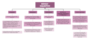 Músculo Esquelético: Estructura y Funciones