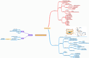 Cấu trúc và Chức năng của Màng Tế Bào