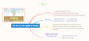 Tổ 2 - Vai Trò Của Các Nguyên Tố Khoáng
