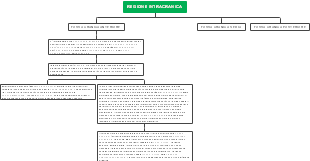 Mappa Mentale della Regione Intracranica e delle Fosse Craniche