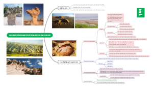 Tác Động Của Ngoại Lực Đến Địa Hình Bề Mặt Trái Đất