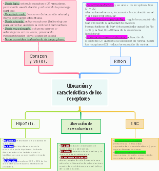 Ubicación y caracteristicas de los receptores 