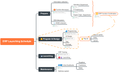 ERP Launching Schedule