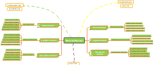 'There Is' and 'There Are': Constructing Positive, Negative, and Interrogative Sentences