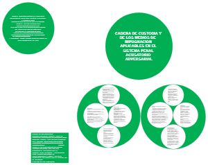 Cadena de Custodia y Medios de Impugnación en el Sistema Penal Acusatorio Adversarial
