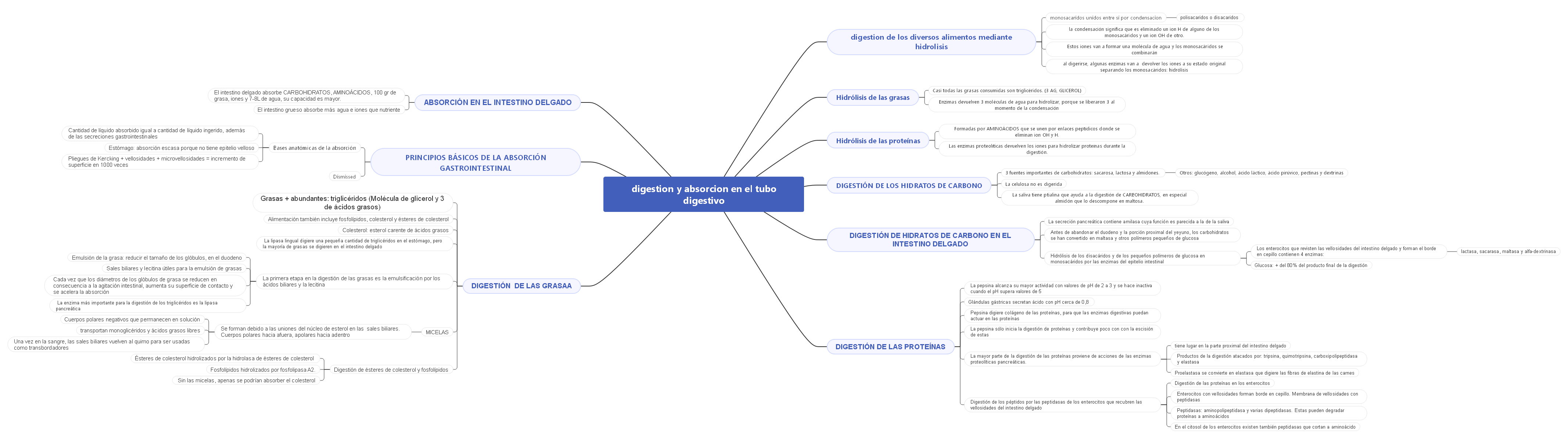 digestion y absorcion en el tubo digestivo