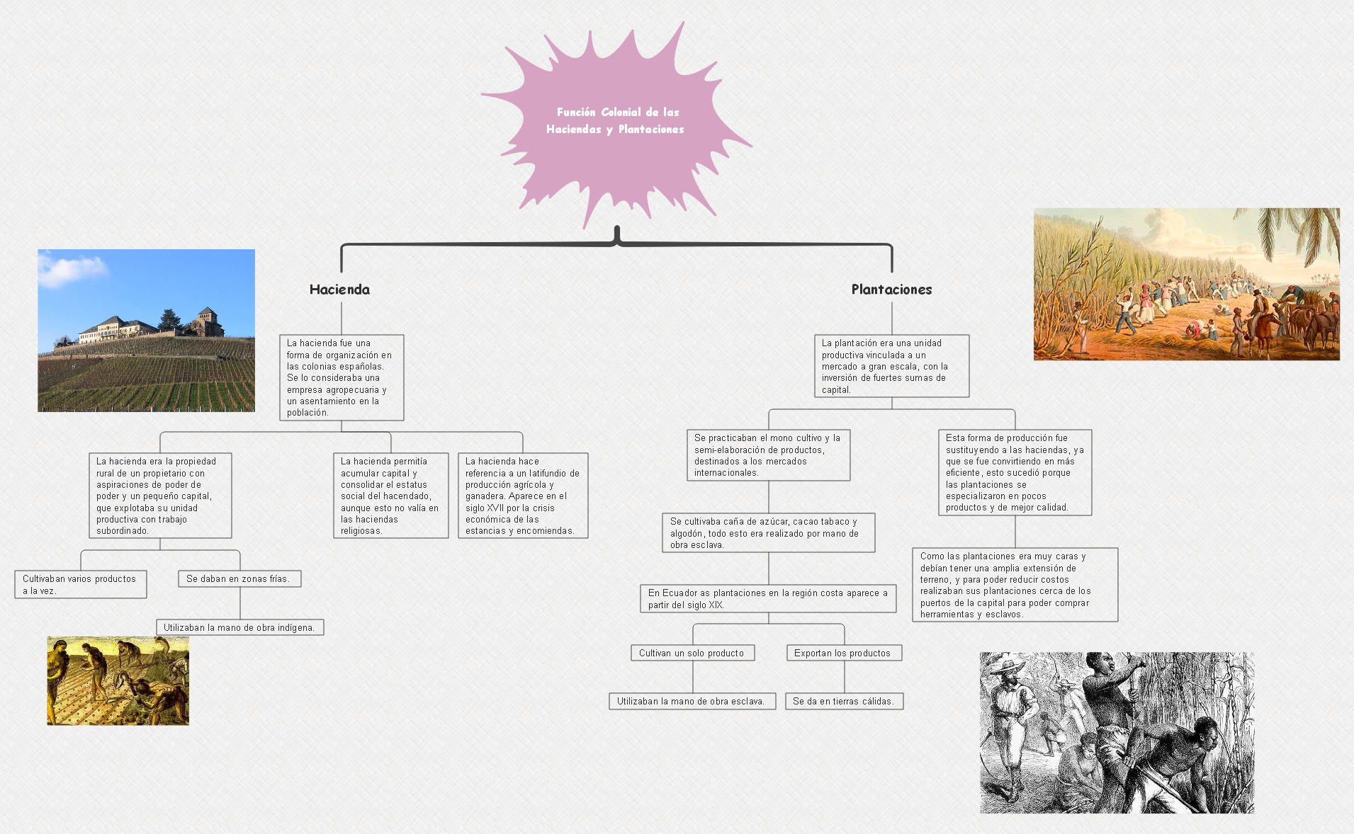 Función Colonial de las Haciendas y Plantaciones 