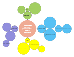 Protéger ses Données Personnelles à l'Ère du Numérique