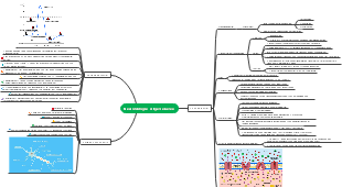 Neurobiologie - Allgemeineres