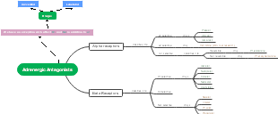 Adrenergic Antagonists and Their Receptor Selectivity