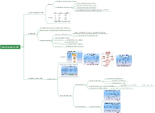 Sinh Lý Dịch Cơ Thể