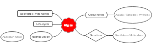 Algae: Unveiling the Economic Significance and Biological Lifecycle