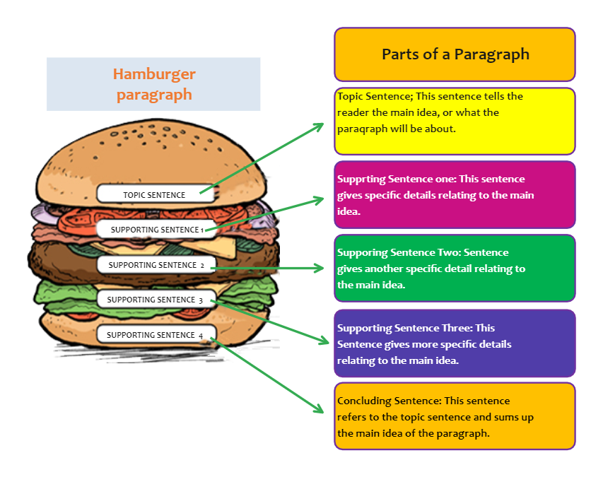 Hamburger Style Paragraph