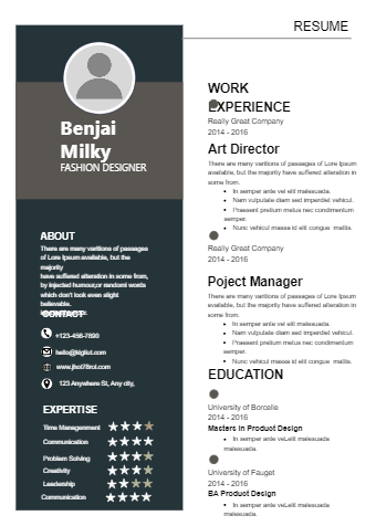 Minimalist Professionall Simple CV Resume