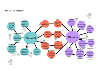 Mitosis and Meiosis Double Bubble Map