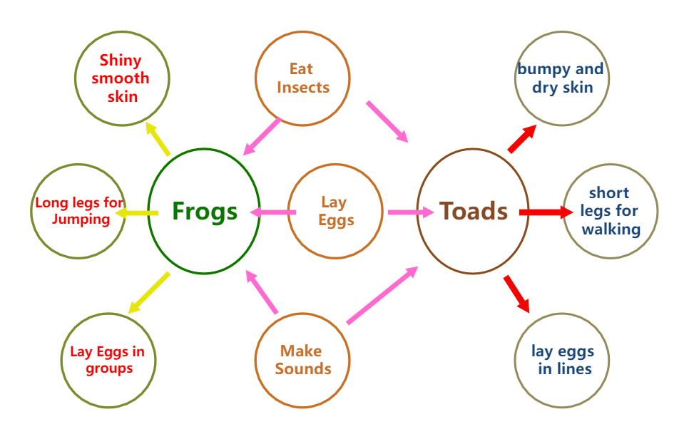 Frog and Toad Bubble Map