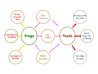 Frog and Toad Bubble Map