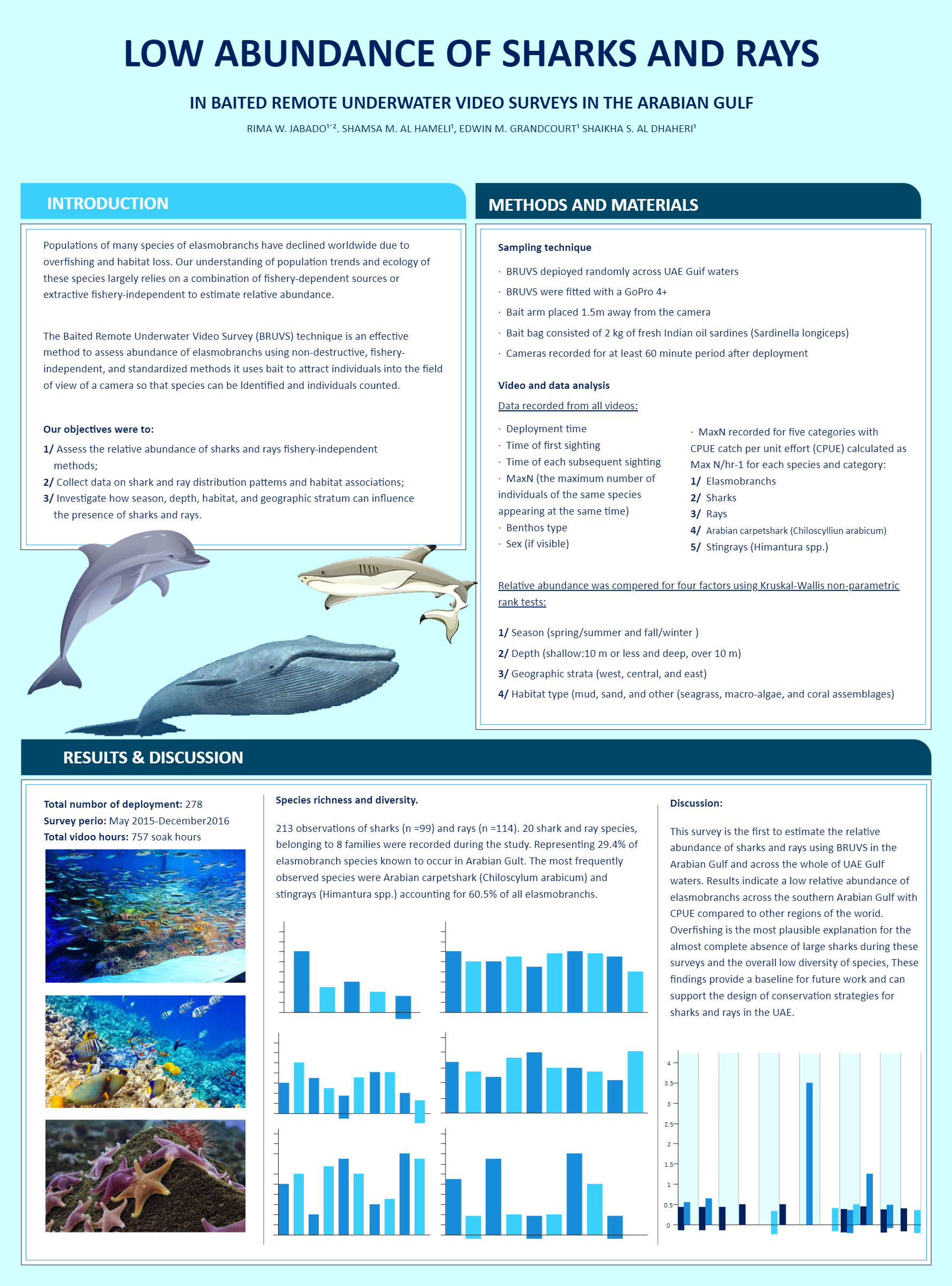 Sea Life Poster Presentation
