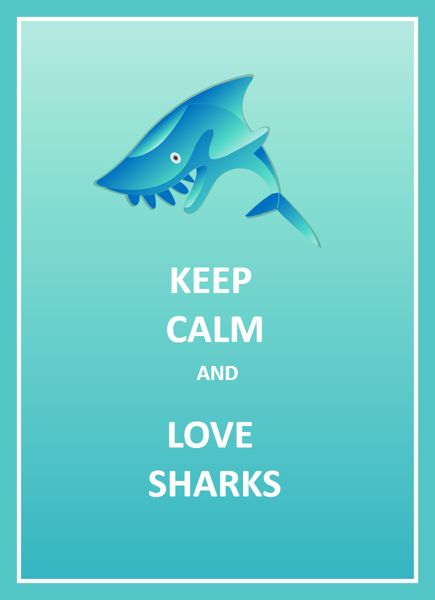 Love Shark Infographic
