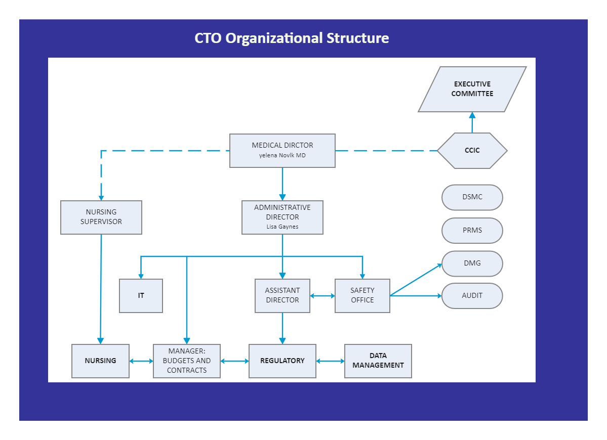 Cto Org Structure