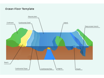 Ocean Floor Diagram