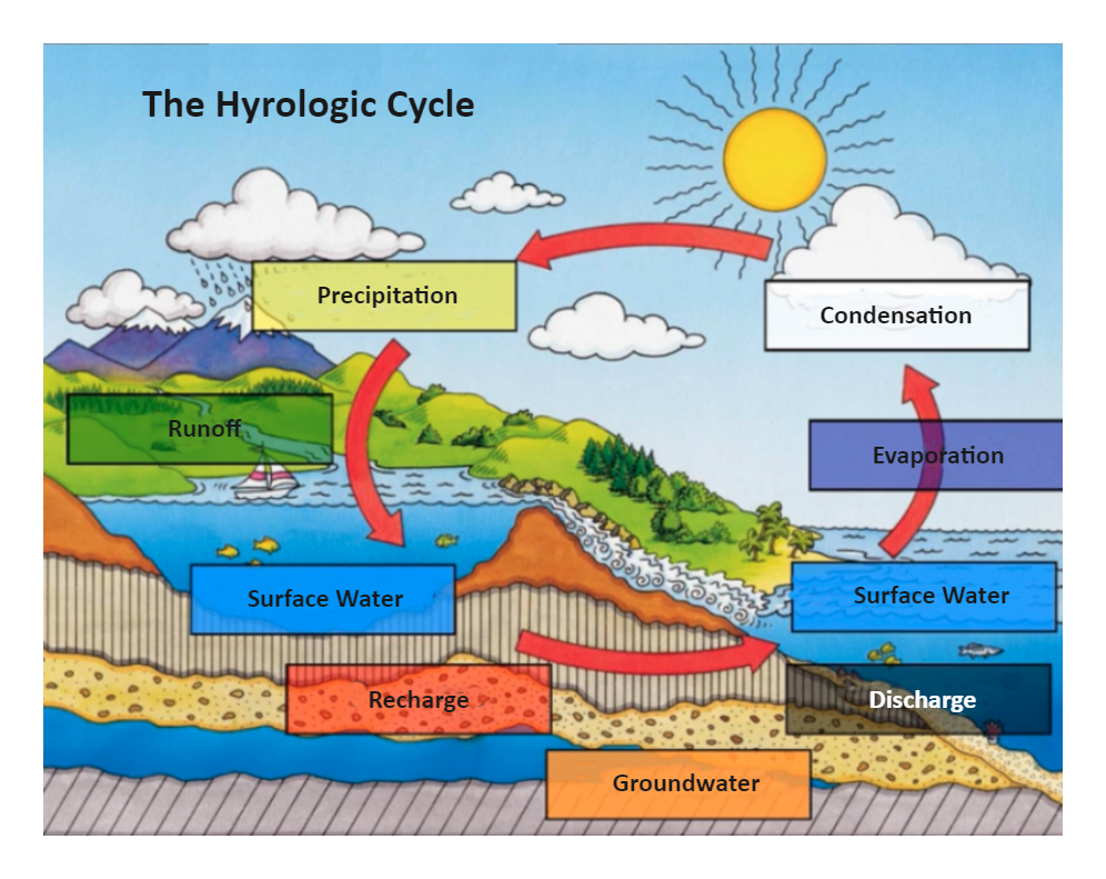 Water Cycle Labeled
