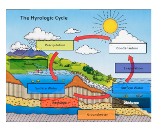 Water Cycle Labeled
