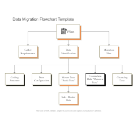 Data Migration Process flow diagram