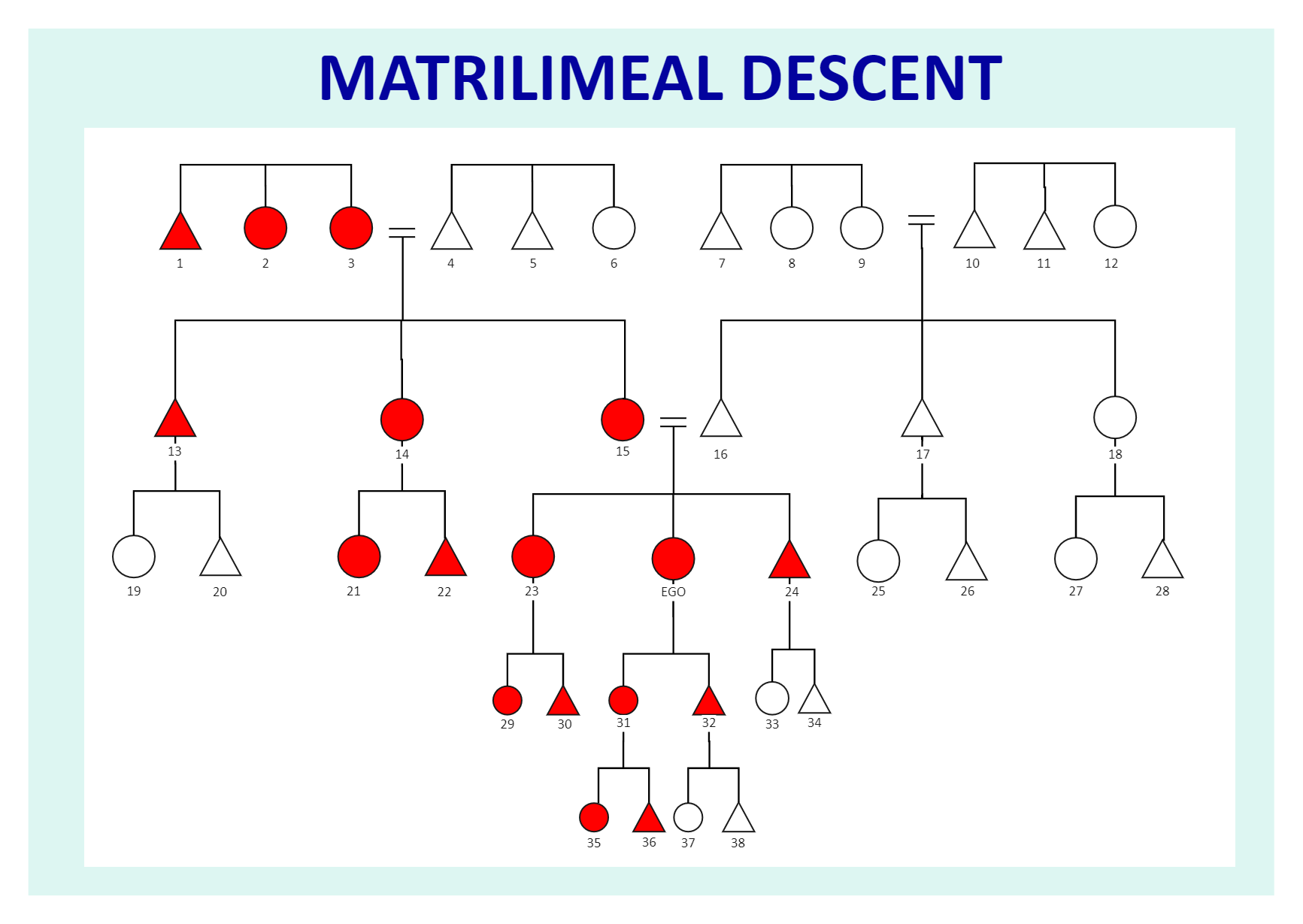 Matrilineal Kinship Chart