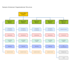 Divisional Organizational Structure
