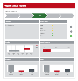 Project Status Report