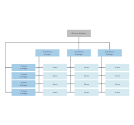 Matrix Structure Diagram