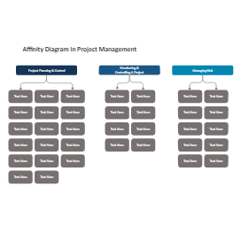 Affinity Diagram Project Management